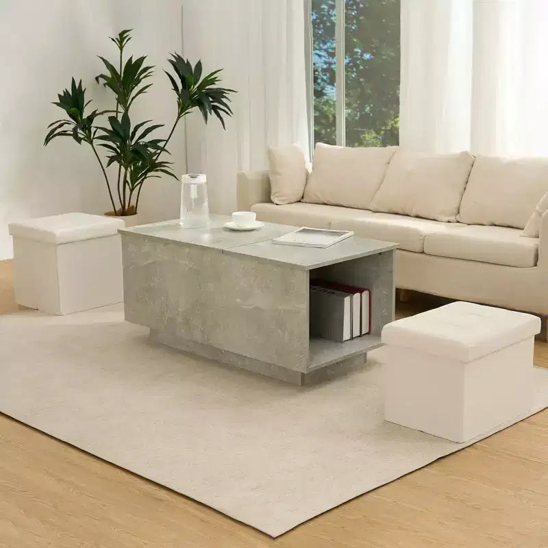 Banc coffre de rangement en velours